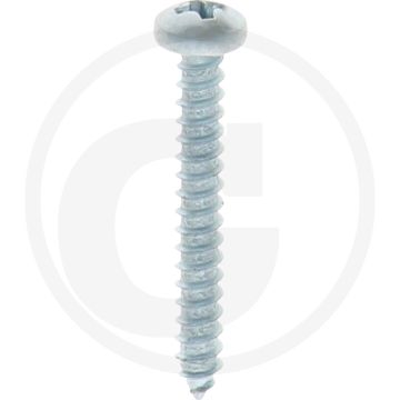 Bolkop plaatschroef 2,9 x 22 DIN 7981 (VPE100)