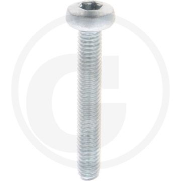 Zelfdraadvormende bout M6 x 40 DIN7500 (VPE500)