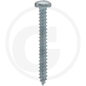 Bolkop plaatschroef 2,9 x 25 DIN 7981 (VPE100)