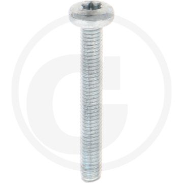 Zelfdraadvormende bout M6 x 45 DIN7500 (VPE500)
