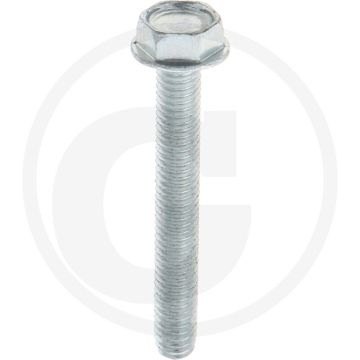 Zelfdraadvormende bout M6 x 45 DIN7500 (VPE500)
