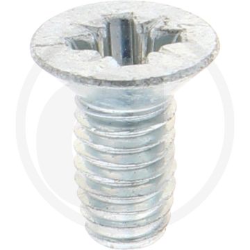 Zelfdraadvormende bout M6 x 12 DIN7500 (VPE500)