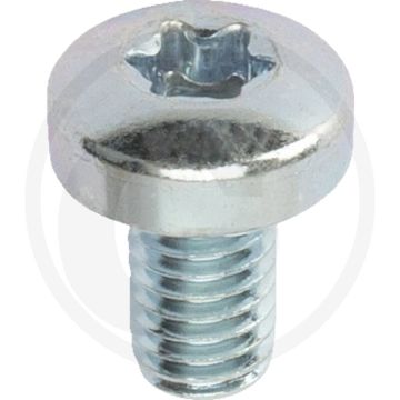 Bolcilinderkopschroeven DIN 7985 M6 x 10 staal gegalvaniseerd TORX® T30 4.8