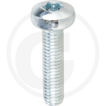 Bolcilinderkopschroeven DIN 7985 M6 x 25 staal gegalvaniseerd TORX® T30 klasse 4.8