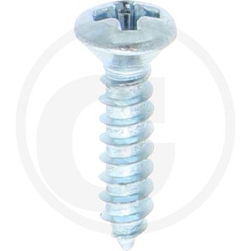 Bolkop plaatschroef 2,9 x 13 DIN 7983 (VPE100)