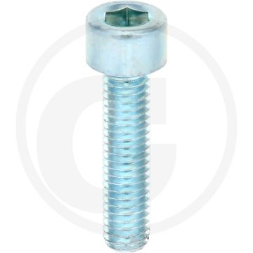 VPE100 cil. binnenzeskantb. M6x25 DIN912 staal 8.8 gegalvaniseerd
