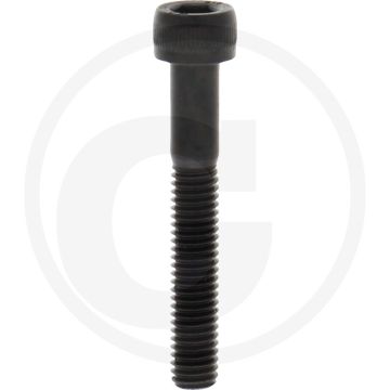 Cil. binnenzeskantbout M6x40 DIN912 Staal 12.9