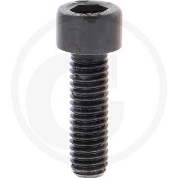 Cil. binnenzeskantbout M6x20 DIN912 staal 12.9