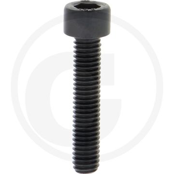 Cil. binnenzeskantbout M6x30 DIN912 Staal 12.9