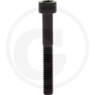 Cil. binnenzeskantbout M6x45 DIN912 Staal 12.9
