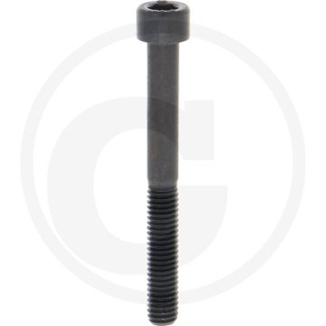 Cil. binnenzeskantbout M6x55 DIN912 Staal 12.9