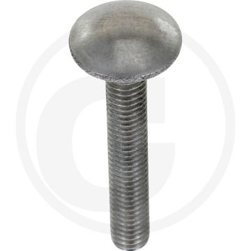 Slotbouten M6 x 40, DIN 603, Roestvrijstaal (V2A), Platte ronde kop