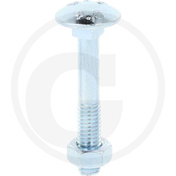 Slotbouten DIN 603 M6 staal 4.6 gegalvaniseerd 40 mm platte ronde kop