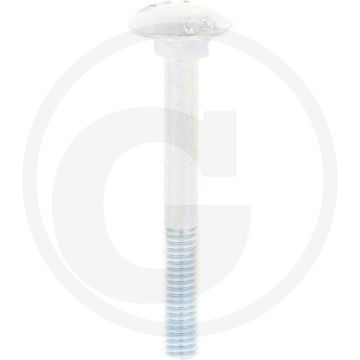 VPE50 slotbouten M6x50 DIN 603 staal 8.8 gegalvaniseerd platte kop