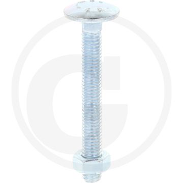 Slotbouten DIN 603 M6 staal 4.6 gegalvaniseerd 50 mm platte ronde kop