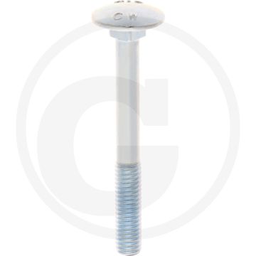 VPE50 slotbouten M6x55 DIN 603 staal 4.6 gegalvaniseerd platte ronde kop