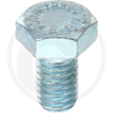 VPE100 zeskantbouten M6x10 DIN 933 (VPE100)