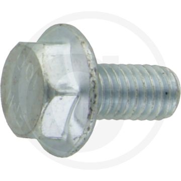 Zeskantbout DIN 88913 M6 x 12 staal verzinkt metrische schroefdraad