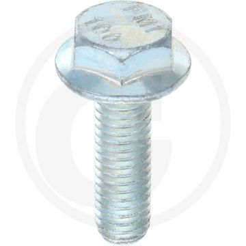 Zeskantbout M6 x 20 DIN 88913 Staal 10.9 Gegalvaniseerd Buitenzeskant