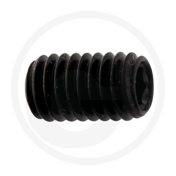 Stelbout M6 x 10 DIN 913 Gegalvaniseerd Staal Binnenzeskant
