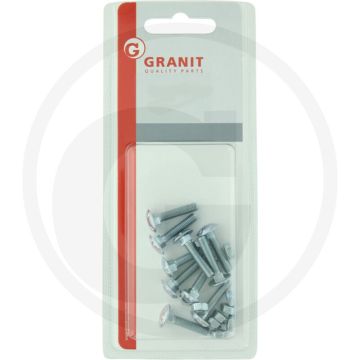 Blister Slotbouten DIN 603 M6 staal 4.6 gegalvaniseerd 40 mm (10 stuks)