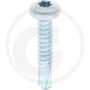 VPE500 zelfb. schroeven 6,3x32 DIN 7504 staal gegalvaniseerd bolle kop T30