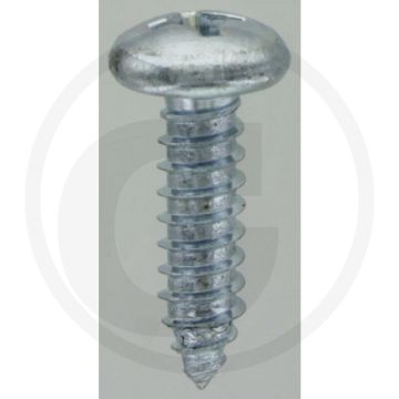 Bolkop plaatschroef 6,3 x 22 DIN 7981 (VPE100)