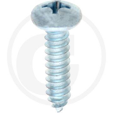 Bolkop plaatschroef 6,3 x 25 DIN 7981 (VPE100)