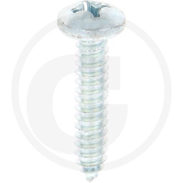 Bolkop plaatschroef 6,3 x 32 DIN 7981 (VPE100)