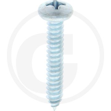 Bolkop plaatschroef 6,3 x 38 DIN 7981 (VPE100)