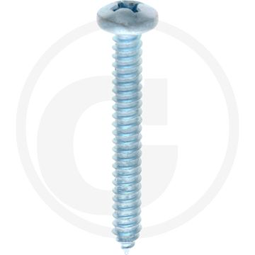 Bolkop plaatschroef 6,3 x 50 DIN 7981 (VPE100)