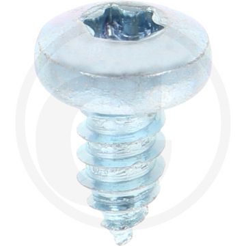 Bolkop plaatschroef 6,3 x 13 DIN 7981 (VPE250)