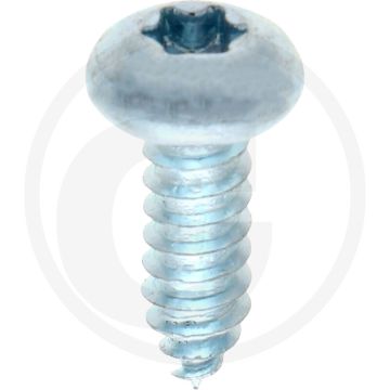 Bolkop plaatschroef 6,3 x 19 DIN 7981 (VPE250)