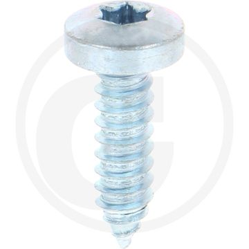 Bolkop plaatschroef 6,3 x 22 DIN 7981 (VPE250)
