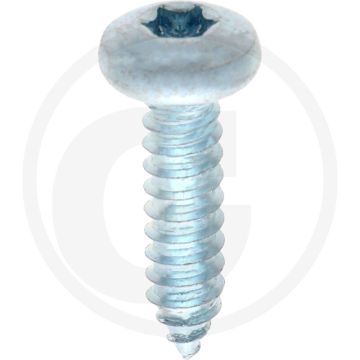 Bolkop plaatschroef 6,3 x 25 DIN 7981 (VPE250)