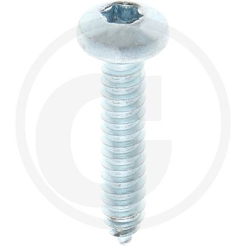 Bolkop plaatschroef 6,3 x 32 DIN 7981 (VPE250)