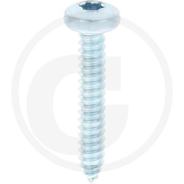 Bolkop plaatschroef 6,3 x 38 DIN 7981 (VPE250)