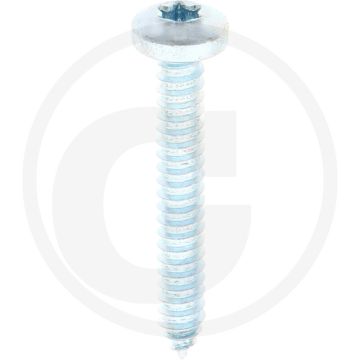 Bolkop plaatschroef 6,3 x 45 DIN 7981 (VPE250)