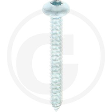 Bolkop plaatschroef 6,3 x 50 DIN 7981 (VPE250)