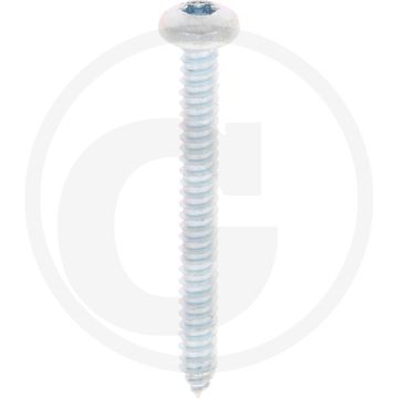 Bolkop plaatschroef 6,3 x 60 DIN 7981 (VPE250)