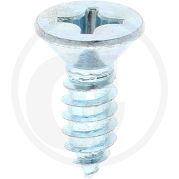 Verz. zelftappende schr. 6,3x19 DIN7982 (VPE100)