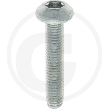 Zelfdraadvormende bout M8x40 DIN7500 (VPE100)