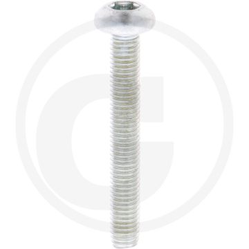 Zelfdraadvormende bout M8x55 DIN7500 (VPE250)