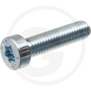 Cilinderkopschroeven DIN 7984 M8 x 20 staal 8.8 TORX T40 gegalvaniseerd