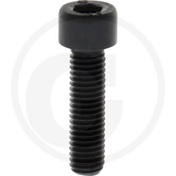 Cil. binnenzeskantbout M8x30 DIN912 Staal 12.9