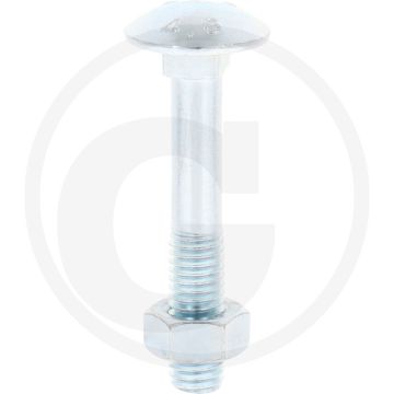 Slotbouten DIN 603 M8 staal 4.6 gegalvaniseerd lengte 50 mm
