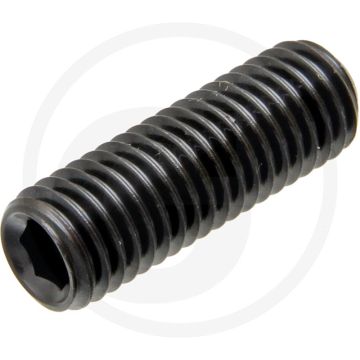 Stelbout M8 x 10 DIN 916 Gegalvaniseerd Staal Binnenzeskant 45H