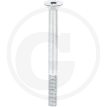 Verzonken bout M10 x 110 DIN 7991 Verzinkt Staal Binnenzeskant 800N/mm²