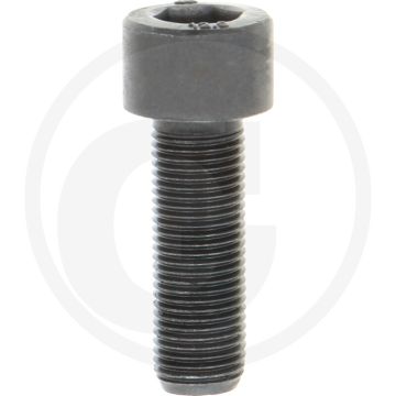 Cil. binnenzeskantbout M10x30 DIN912 staal 12.9 gegalvaniseerd