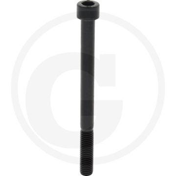 Cil. binnenzeskantbout M10x120 DIN912 staal 12.9